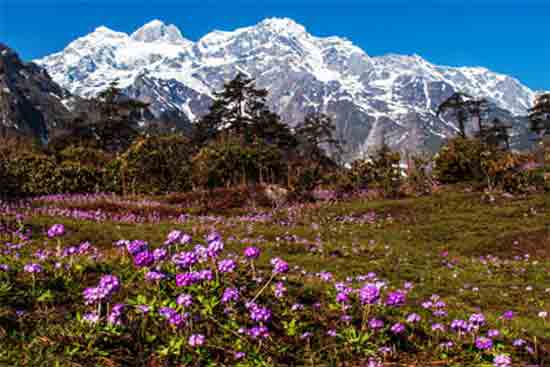 north sikkim