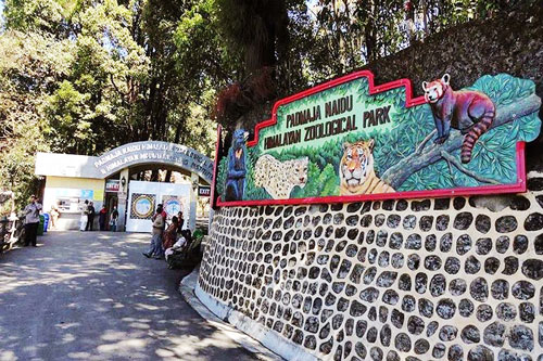 Darjeeling Zoo