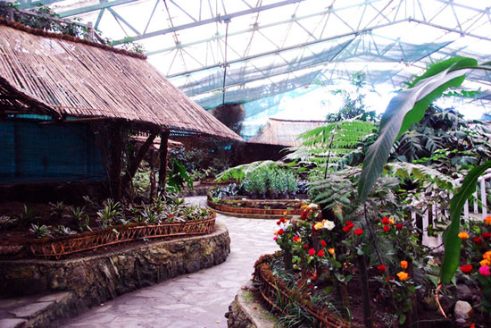 FLOWER EXHIBITION CENTRE